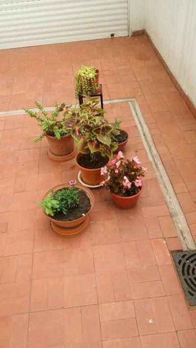 Kurmi Apartment Olavarria Bagian luar foto